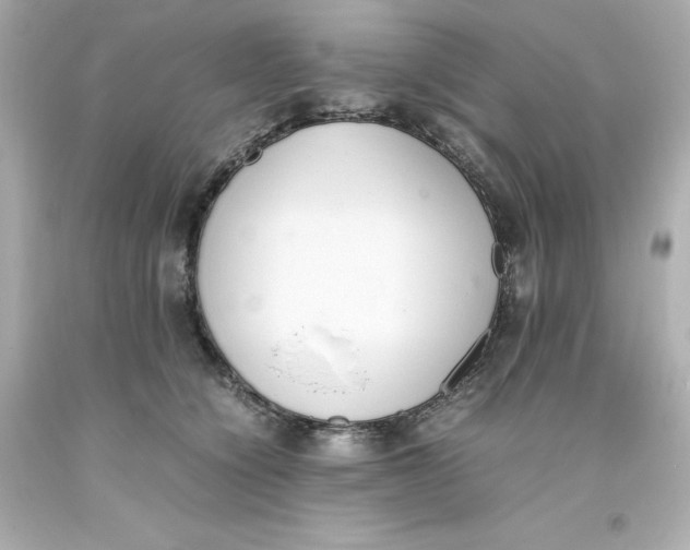 X0000093390564200711011313