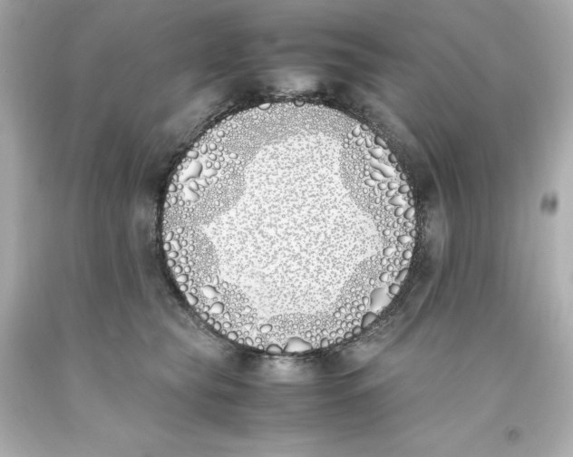 X0000093390565200711011313