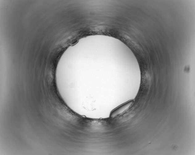 X0000093390566200711011313