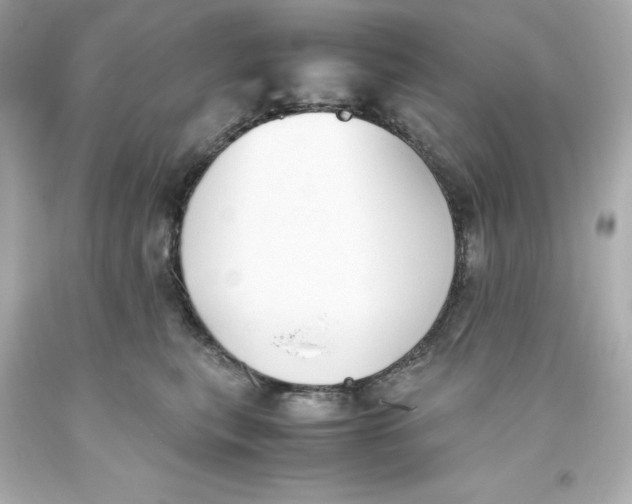 X0000093390567200711011313