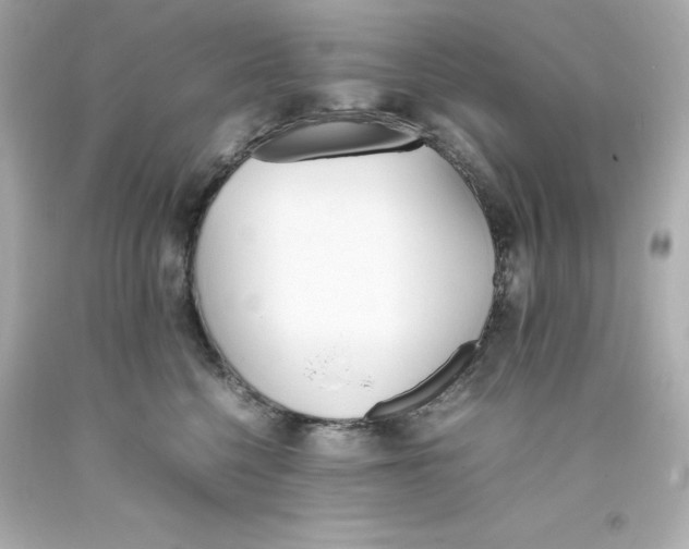 X0000093390568200711011314