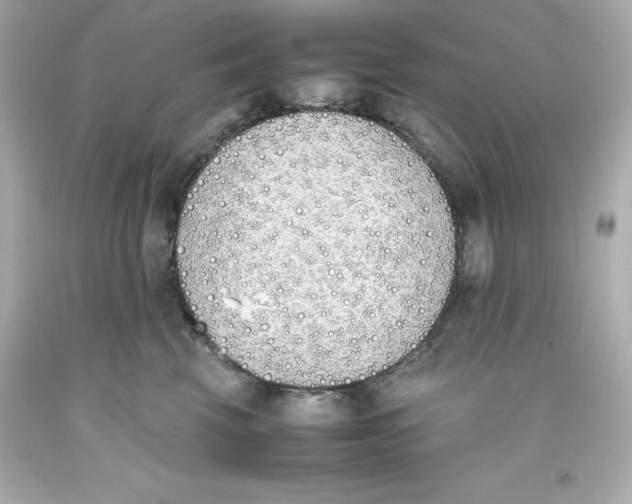 X0000093390569200711011314