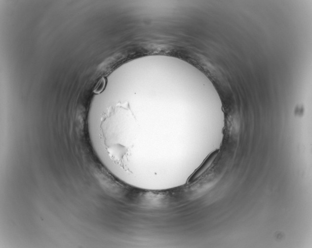 X0000093390570200711011314