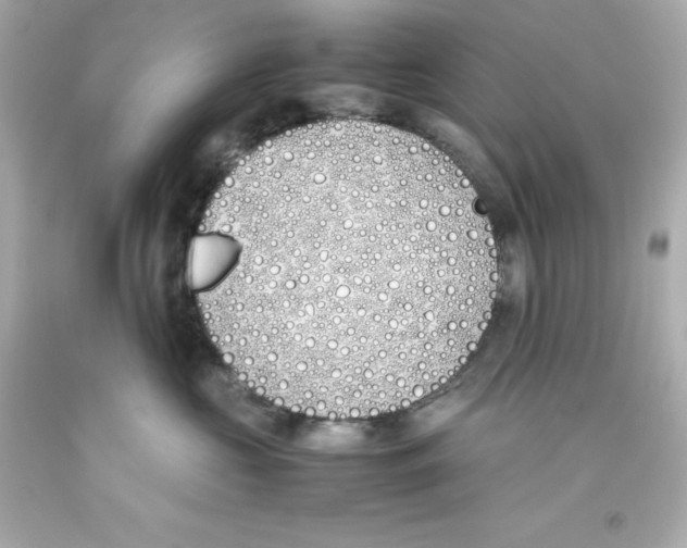 X0000093390573200711011314