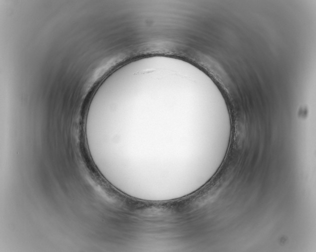 X0000093390578200711011313