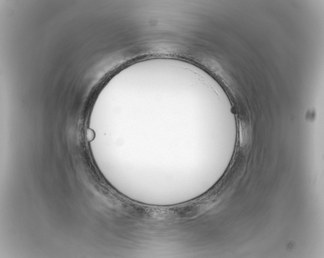 X0000093390579200711011313