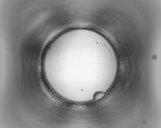 X0000093390582200711011313