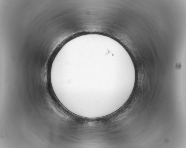 X0000093390584200711011313