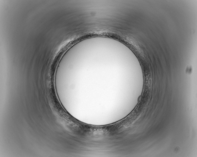 X0000093390587200711011313