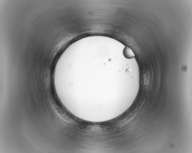 X0000093390588200711011313