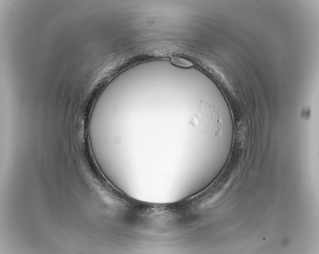 X0000093390589200711011313