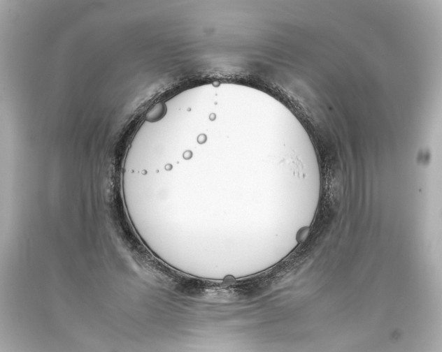 X0000093390591200711011313