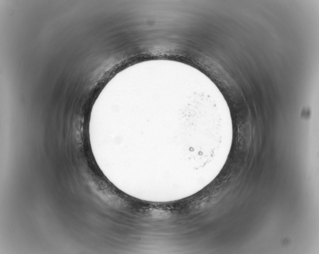 X0000093390592200711011313