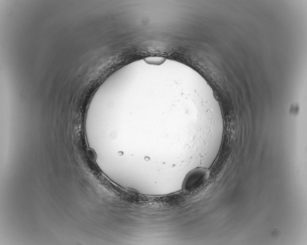 X0000093390593200711011313