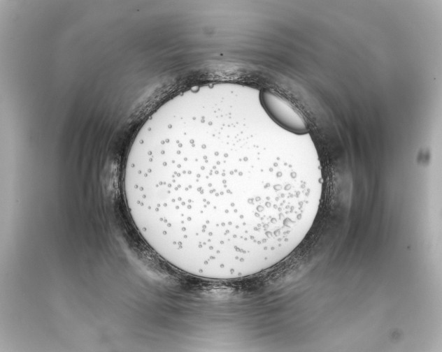 X0000093390598200711011313