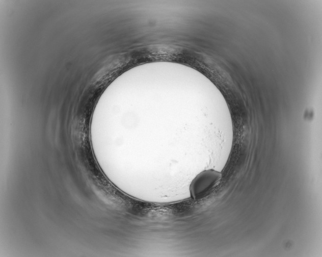 X0000093390599200711011313