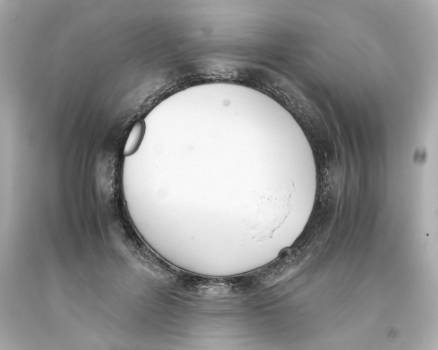 X0000093390600200711011313