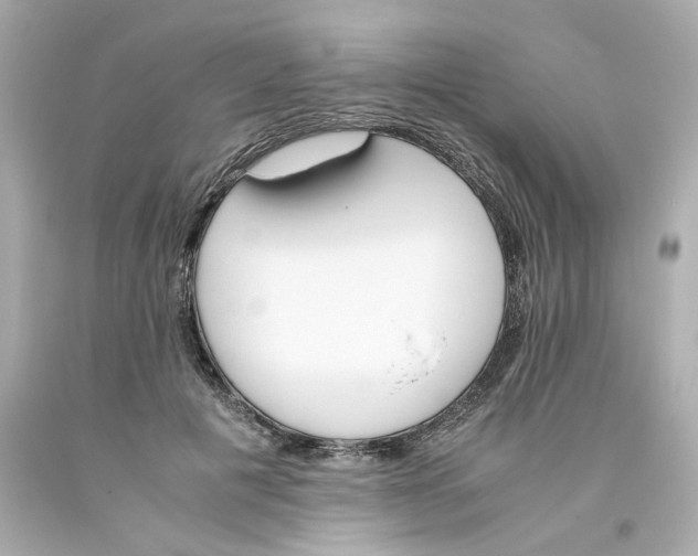 X0000093390601200711011313