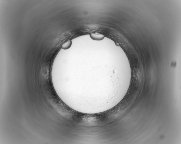 X0000093390602200711011313