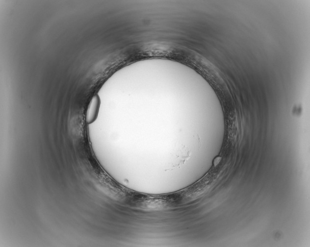 X0000093390604200711011312