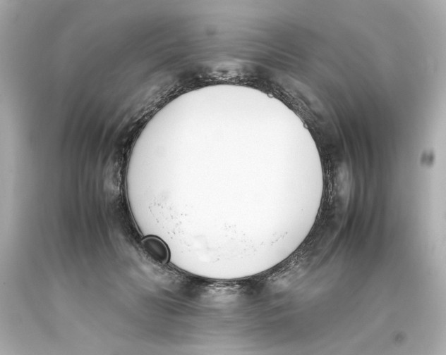 X0000093390606200711011312