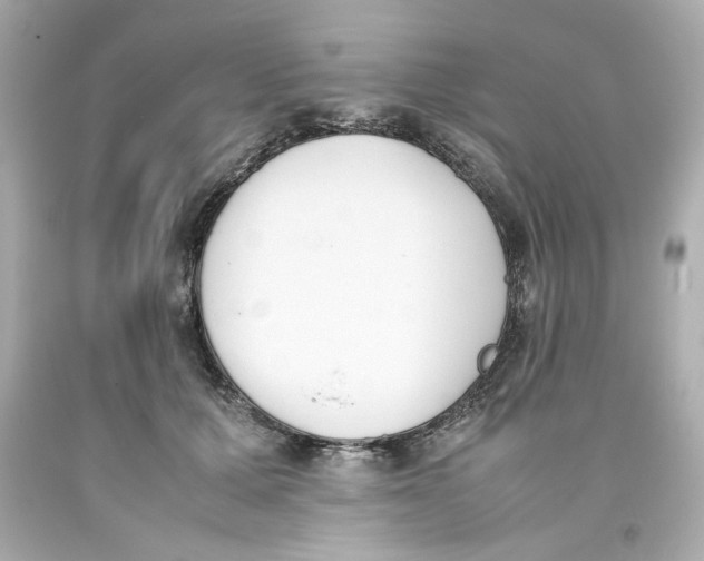 X0000093390607200711011312