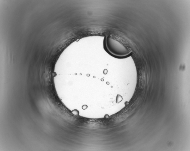 X0000093390608200711011312