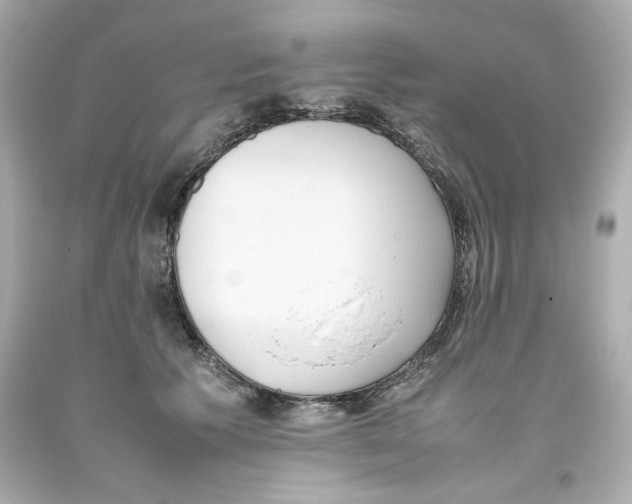 X0000093390609200711011312