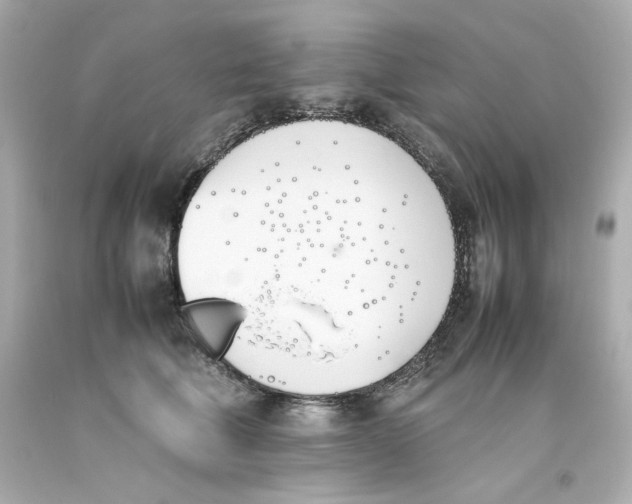 X0000093390610200711011312