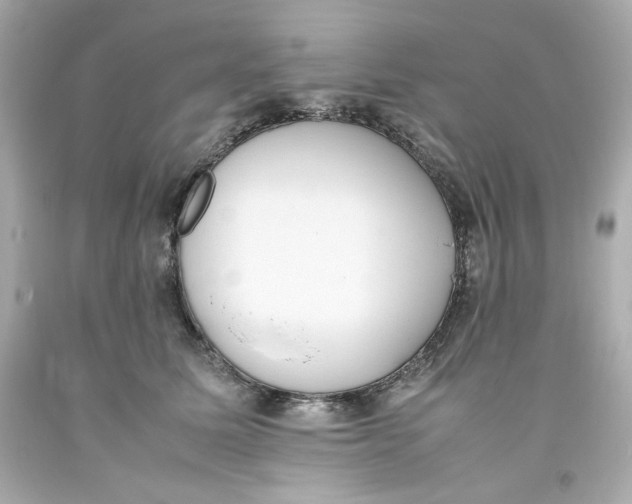 X0000093390611200711011312