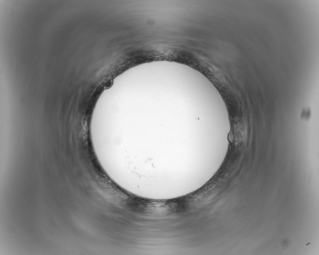 X0000093390613200711011312