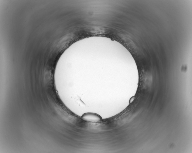 X0000093390614200711011312