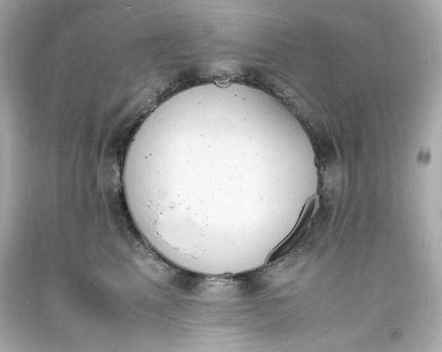 X0000093390617200711011312