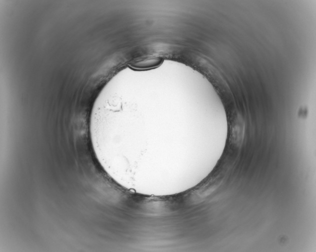 X0000093390620200711011312