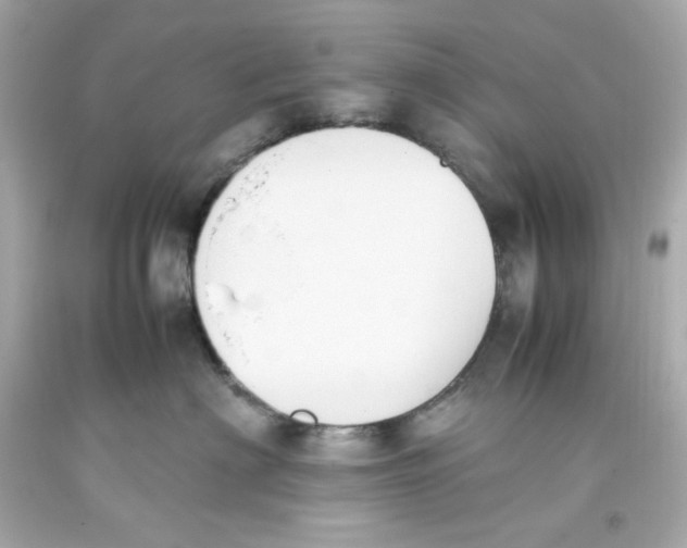 X0000093390622200711011312