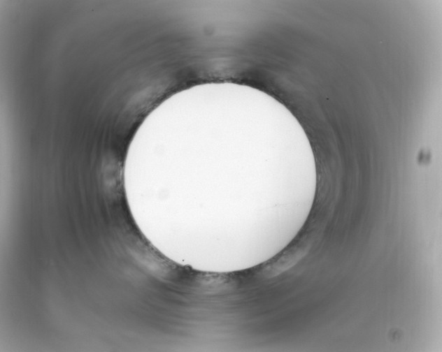 X0000093390624200711011312