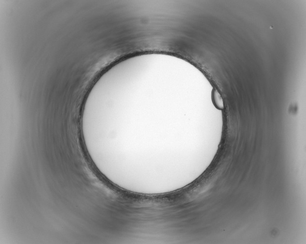 X0000093390625200711011311