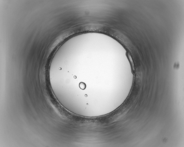 X0000093390626200711011311