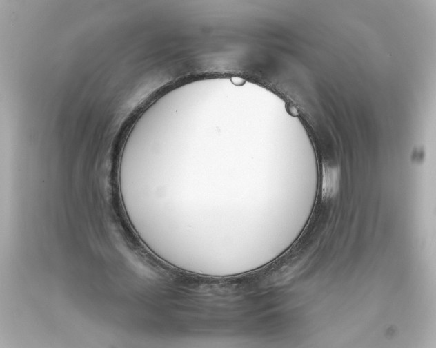 X0000093390627200711011311