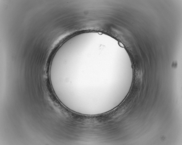 X0000093390628200711011312