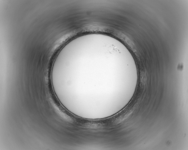 X0000093390629200711011312