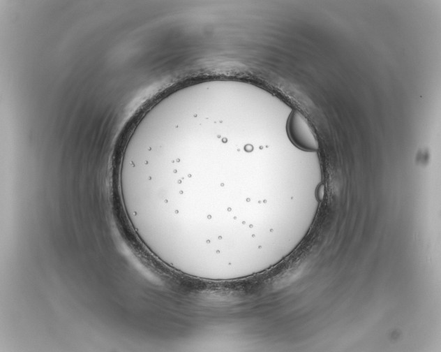 X0000093390630200711011312