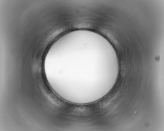 X0000093390631200711011312