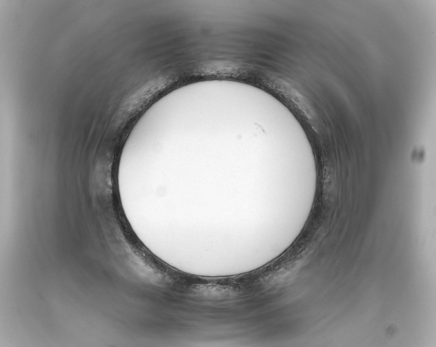 X0000093390633200711011312