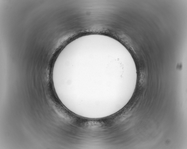 X0000093390636200711011312