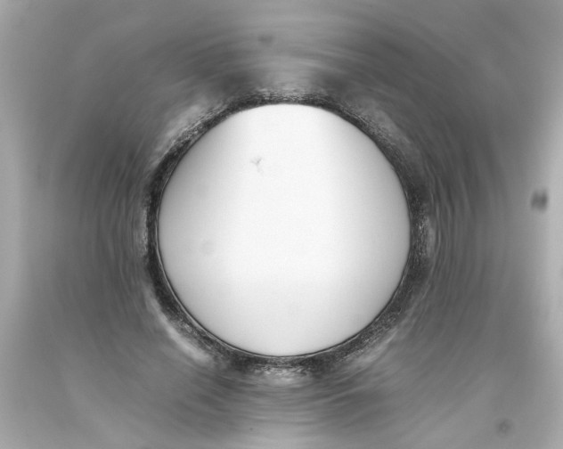 X0000093390638200711011312