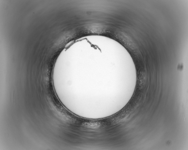 X0000093390639200711011312