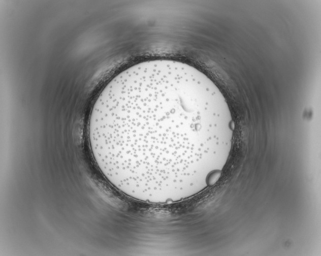 X0000093390640200711011312