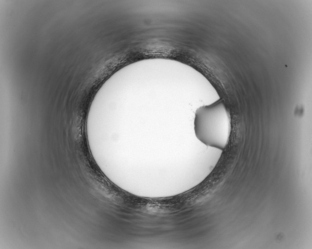 X0000093390641200711011312