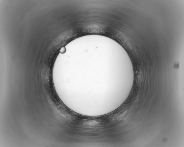 X0000093390643200711011312